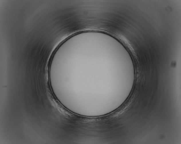 X0000091080892200708271234