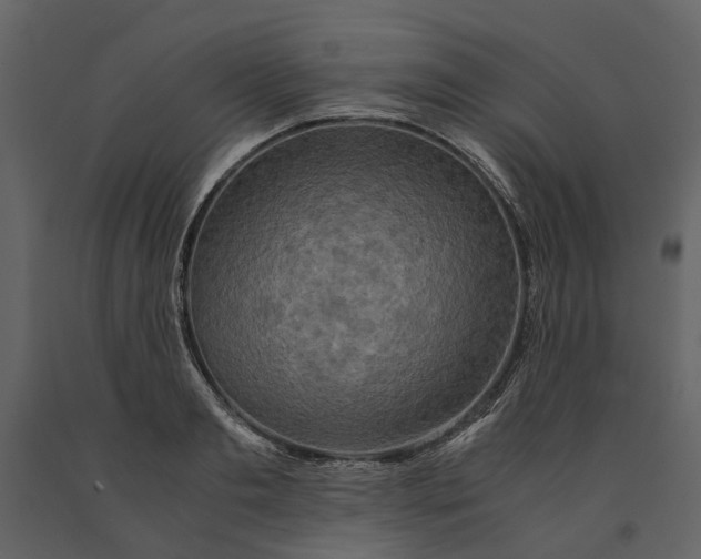 X0000091080893200708271234