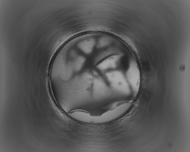 X0000091080895200708271234