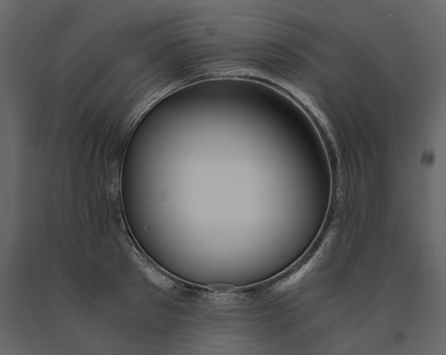 X0000091080897200708271234