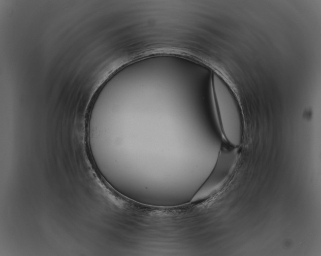 X0000091080898200708271234