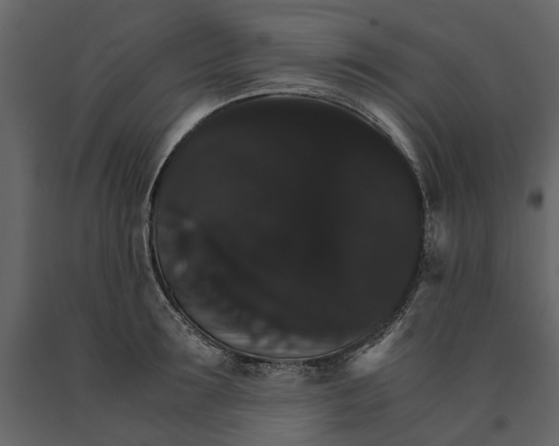 X0000091080899200708271234