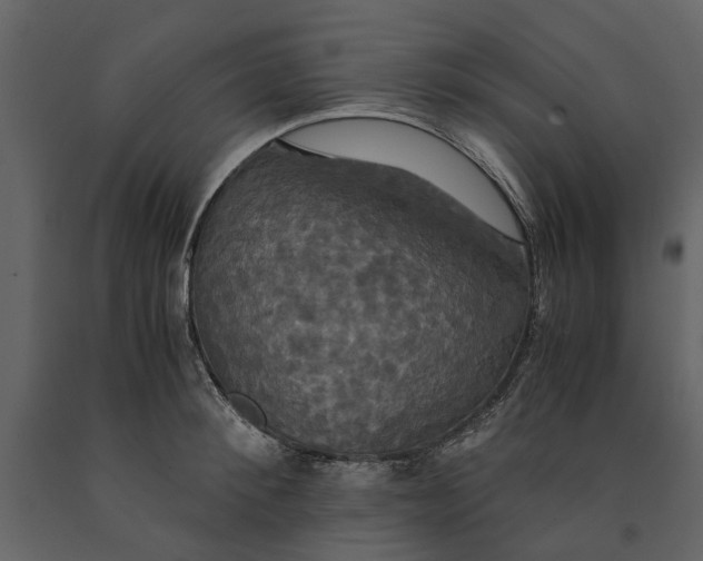 X0000091080900200708271234