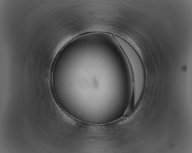 X0000091080901200708271234