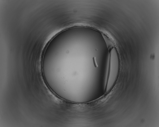 X0000091080902200708271234