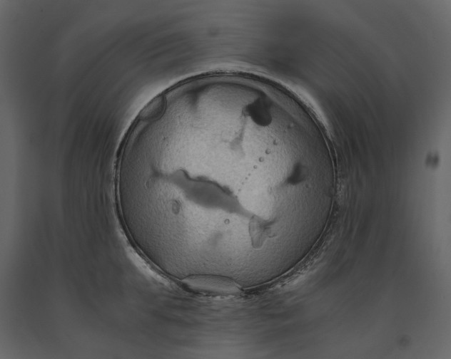 X0000091080903200708271234