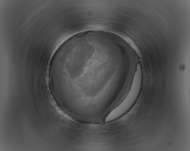 X0000091080904200708271234