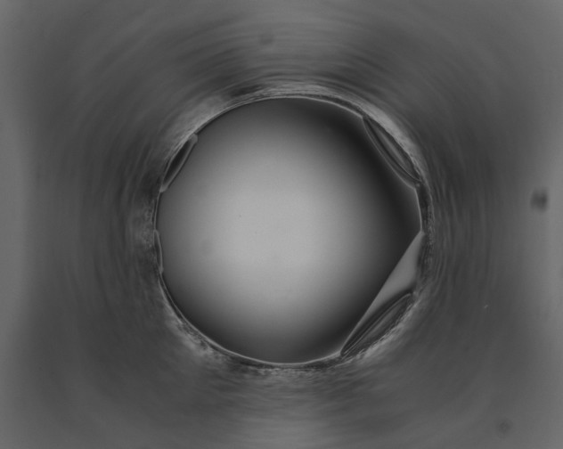 X0000091080905200708271234