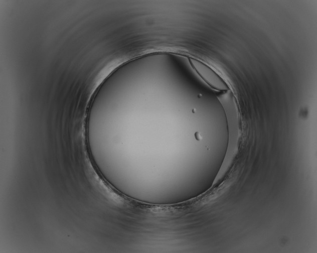 X0000091080906200708271234