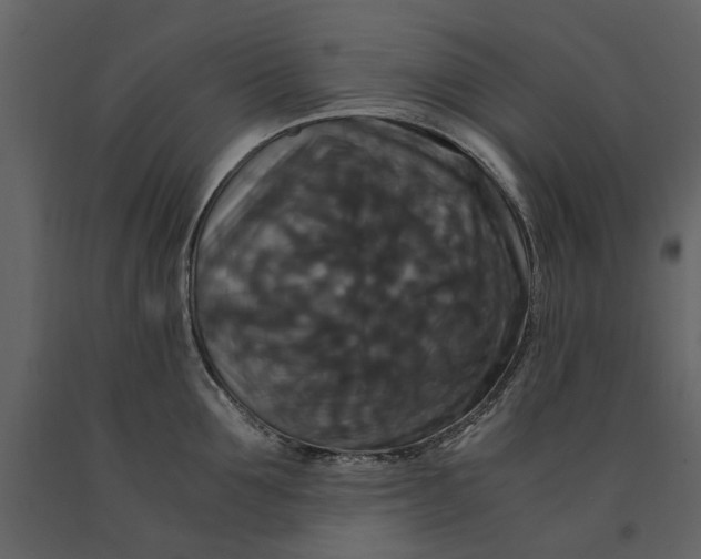 X0000091080907200708271234