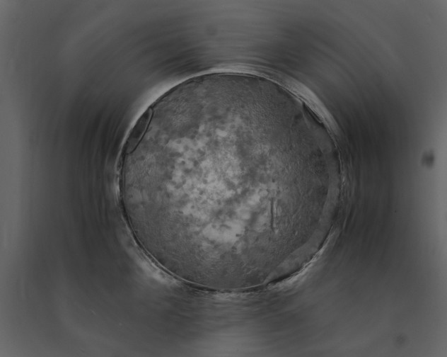 X0000091080908200708271233