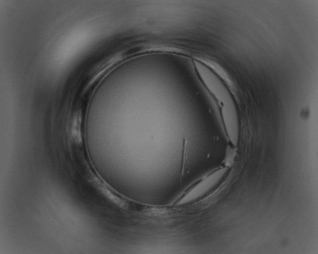 X0000091080910200708271233