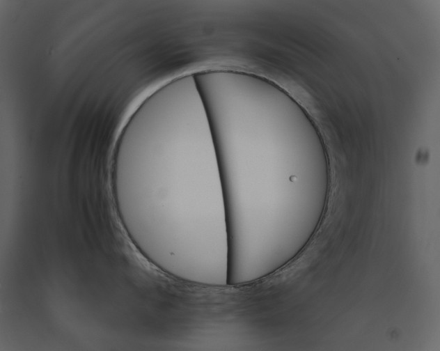 X0000091080912200708271233