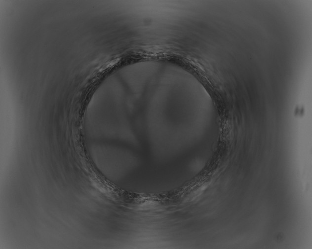 X0000091080913200708271233