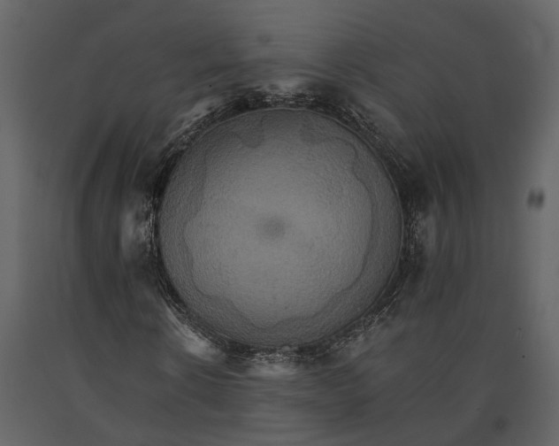 X0000091080914200708271233