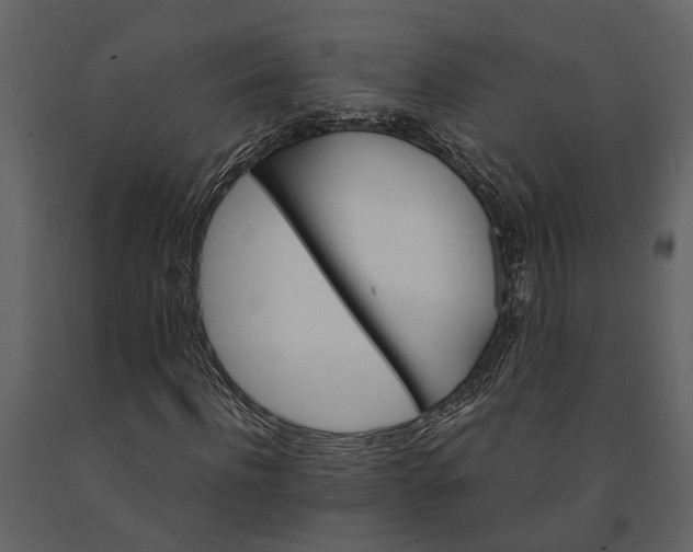 X0000091080916200708271233