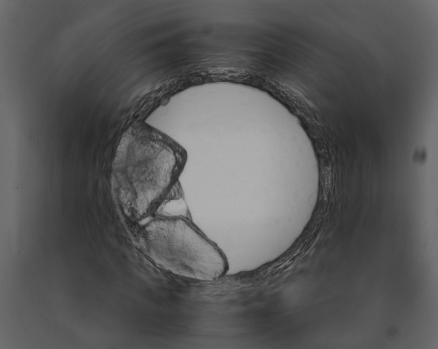 X0000091080917200708271233