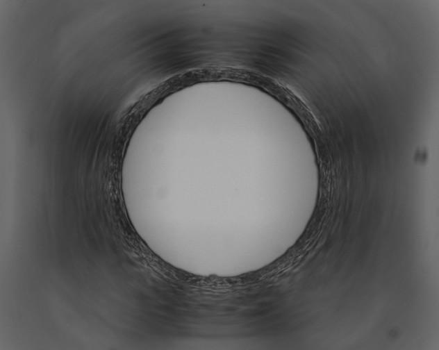 X0000091080919200708271233