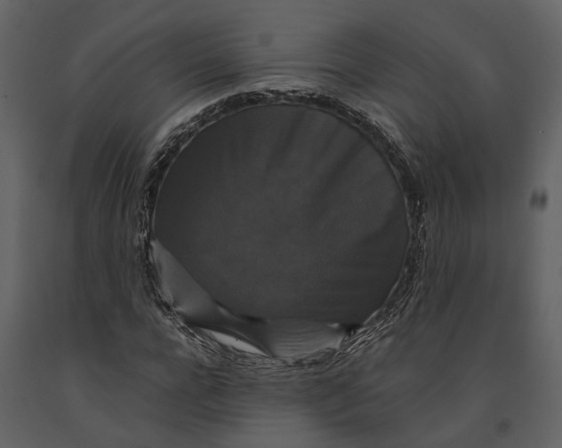 X0000091080920200708271233