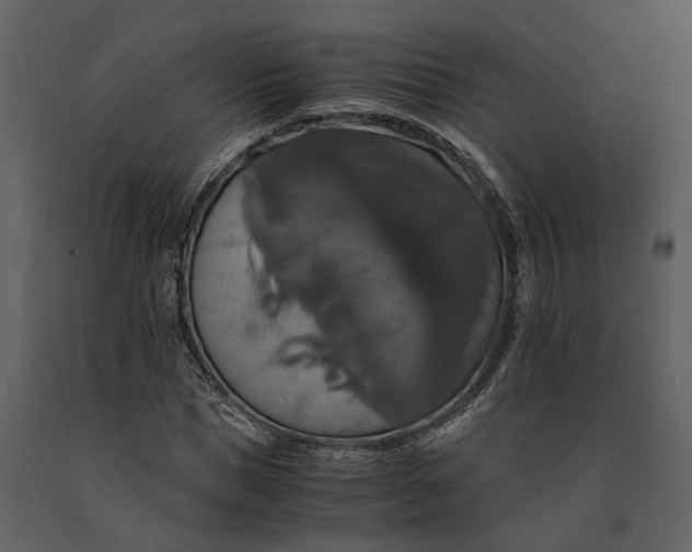 X0000091080921200708271233