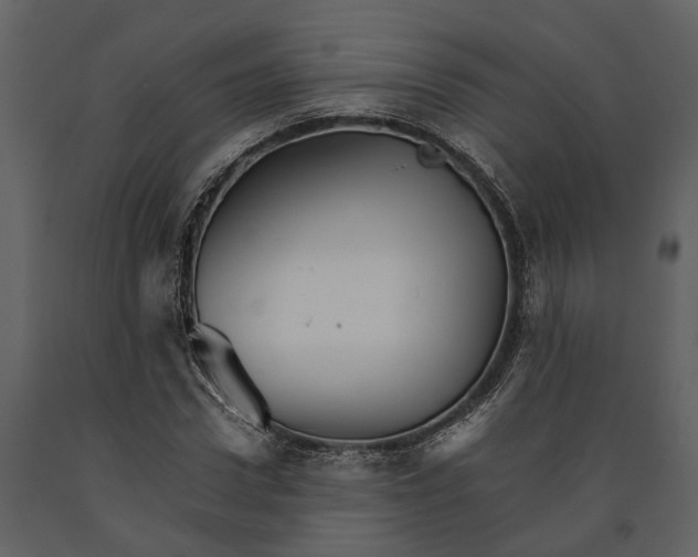 X0000091080922200708271233