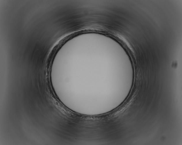 X0000091080923200708271233