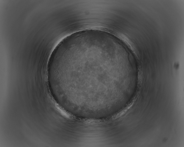 X0000091080924200708271233