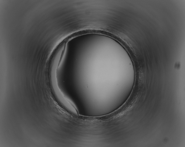 X0000091080926200708271233