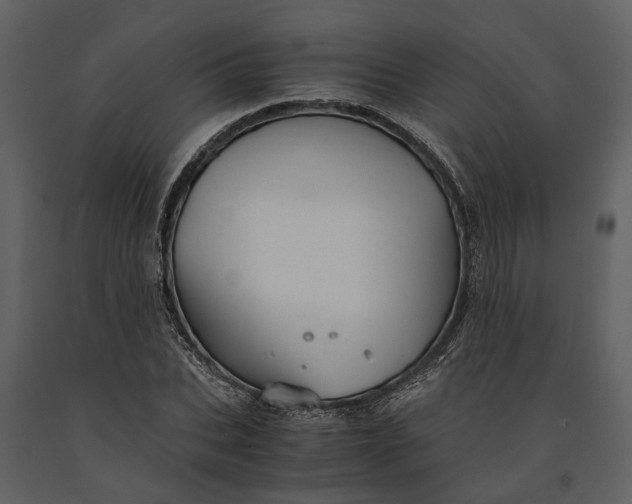 X0000091080927200708271233