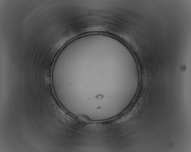 X0000091080929200708271233