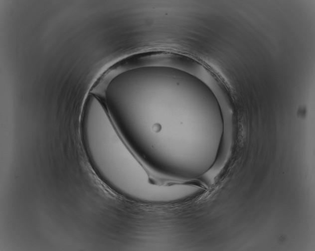 X0000091080932200708271233