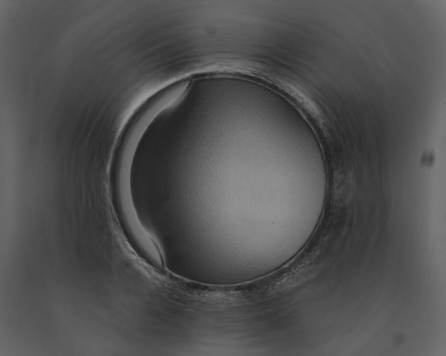 X0000091080936200708271233