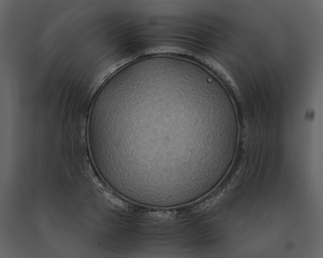 X0000091080937200708271233