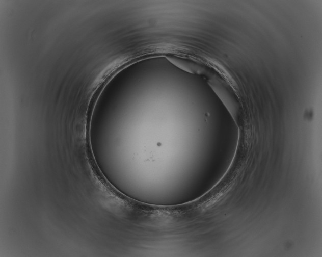 X0000091080938200708271233