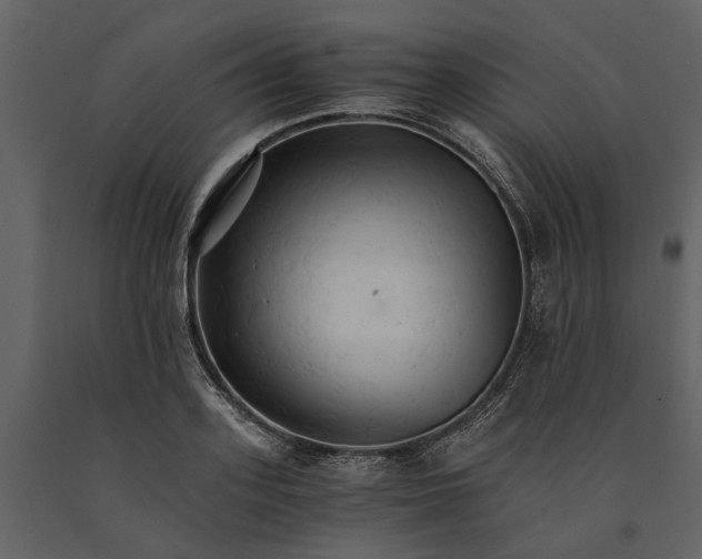 X0000091080939200708271233