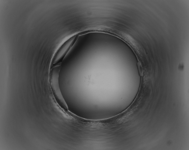 X0000091080940200708271233