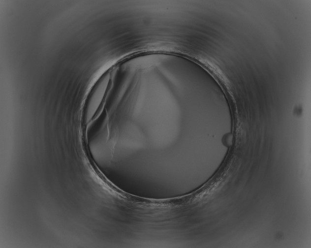 X0000091080941200708271233