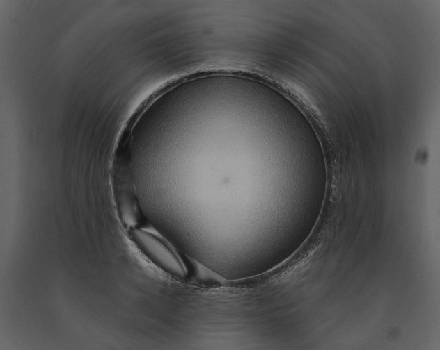 X0000091080942200708271233