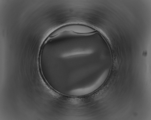 X0000091080943200708271233