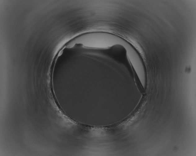 X0000091080944200708271233