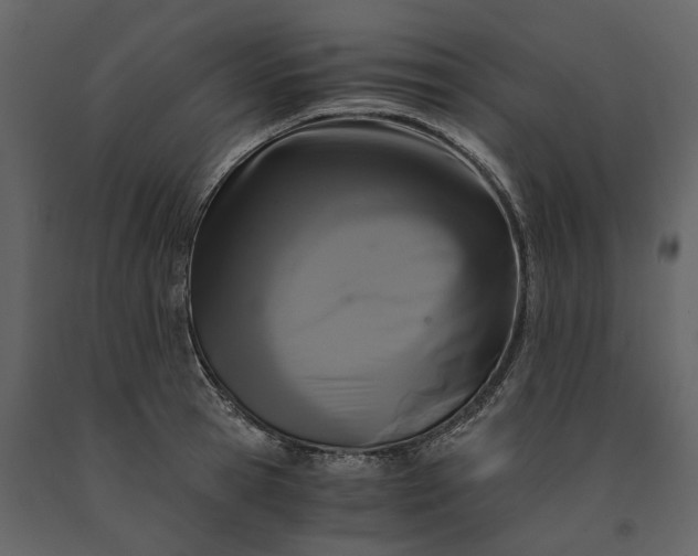 X0000091080945200708271233