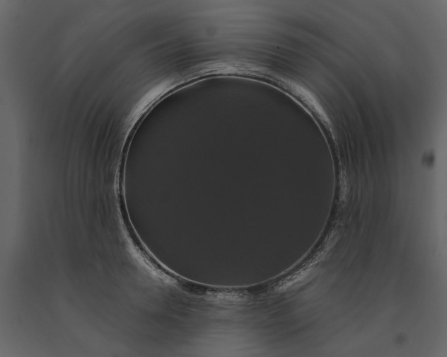 X0000091080946200708271233