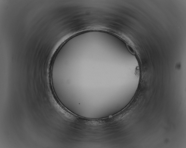 X0000091080947200708271233