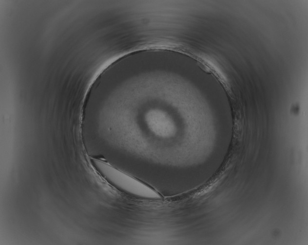 X0000091080948200708271233