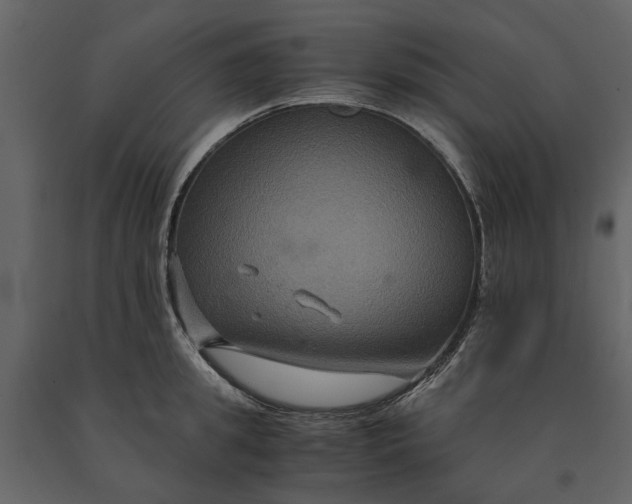 X0000091080949200708271233