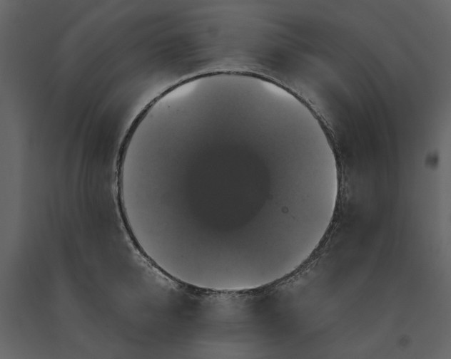 X0000091080950200708271233