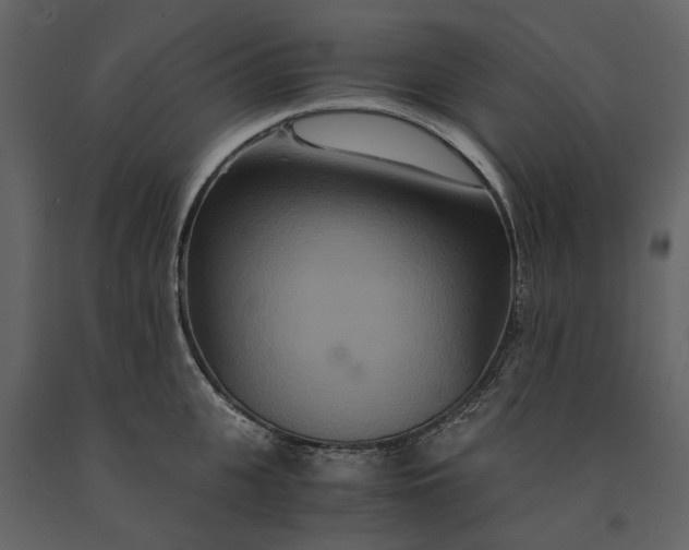 X0000091080951200708271233