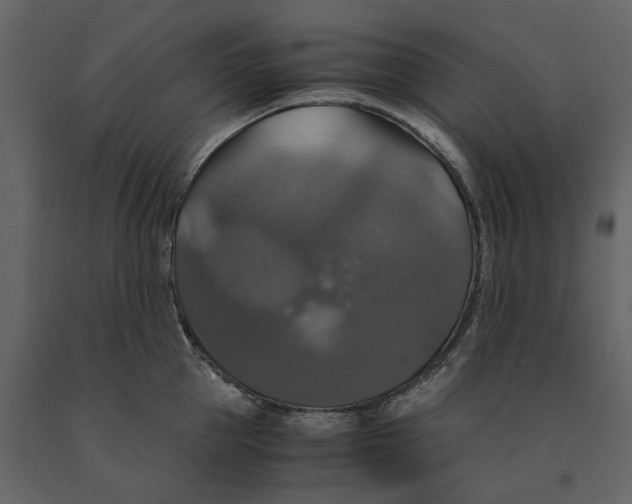 X0000091080953200708271233