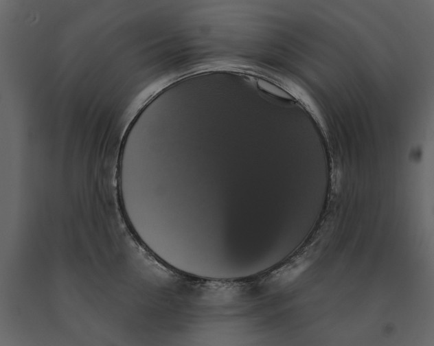 X0000091080954200708271233