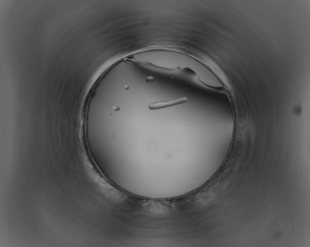 X0000091080955200708271233